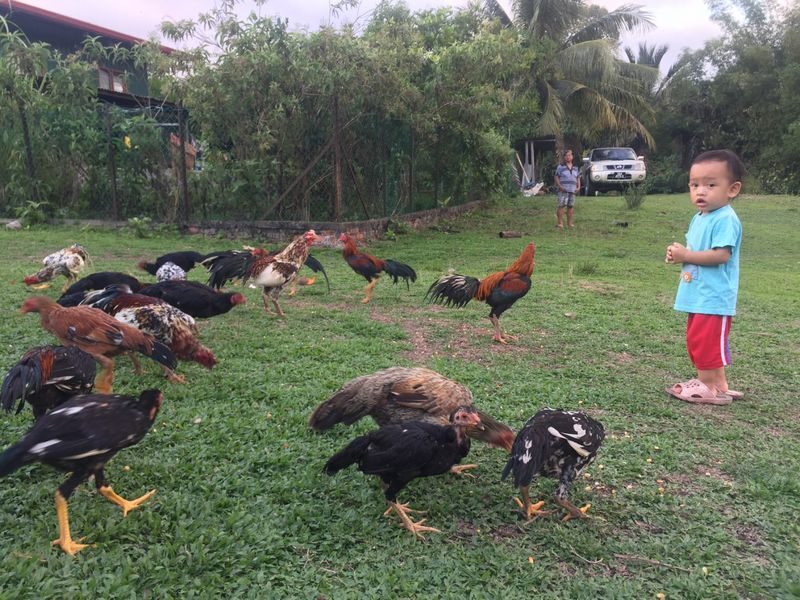2D1N Village Walk & Cooking Tour with Kiulu Rafting in Kota Kinabalu - A clear note about the overnight stay