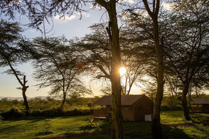 2Day Safari Ngorongoro and Tarangire National Park From Arusha - The Sum Up