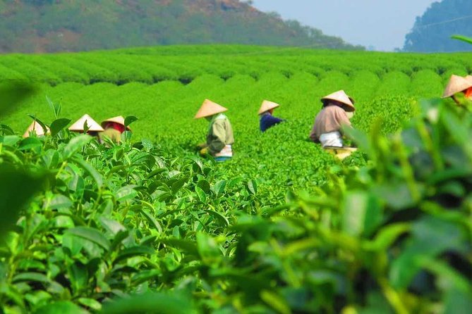 2DAY TOUR DA LAT to MUI NE - Transportation and Logistics