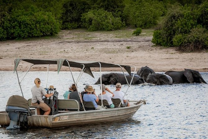 2DAYS 2 Nights Camping Safari in Chobe National Park,Botswana - Spotting Wildlife in Chobe