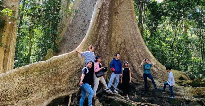 2DAYS Tour Dalat to Cat Tien National Park, Drop off Saigon - Day 1 Activities