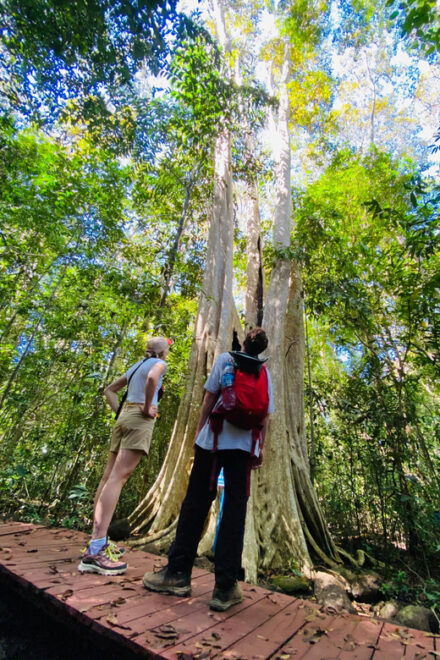 2DAYS Tour Dalat to Cat Tien National Park, Drop off Saigon - Day 2 Activities