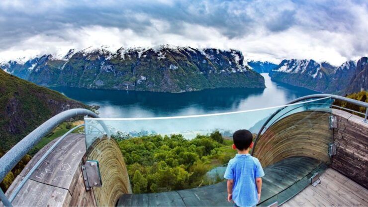 2days Tour to Hardanger and Flåm or Sognfjord Glacier Flexib - Services Provided