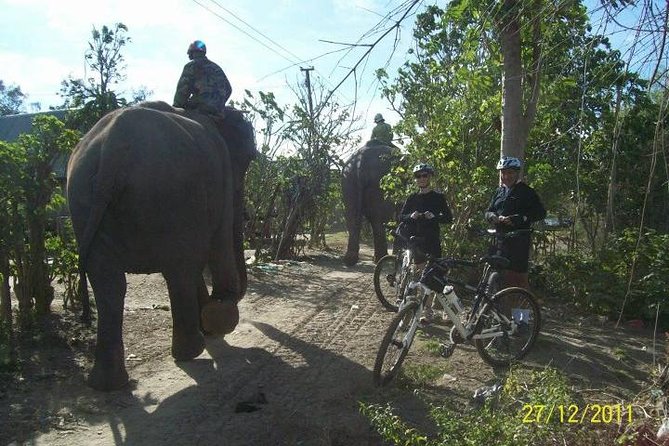 2Days Tour to Nha Trang From Dalat - The Sum Up