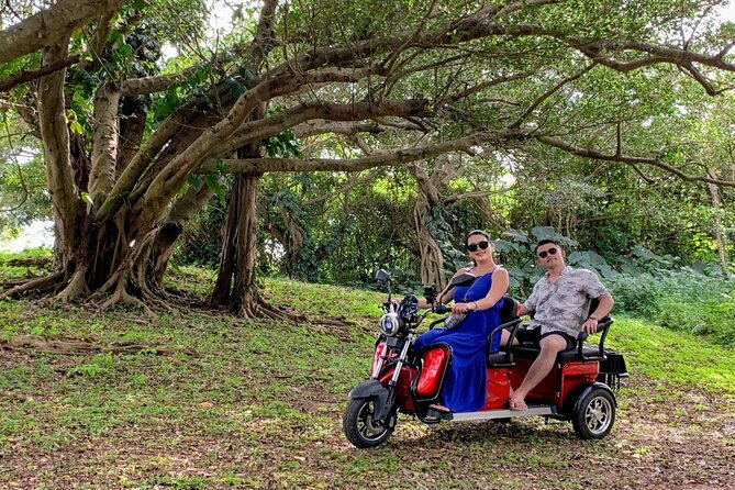 2h 3-Seater Electric Trike Rental (Ishigaki, Okinawa) - Expectations and Accessibility