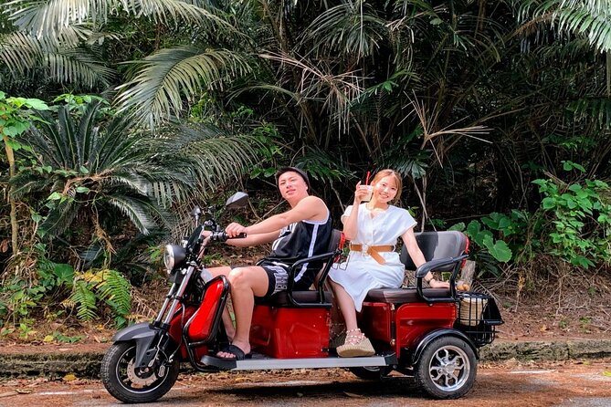 2h 3-Seater Electric Trike Rental (Ishigaki, Okinawa) - Cancellation Policy