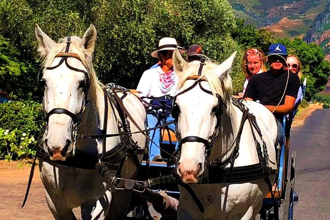 2h – Engagement/Anniversary Carriage Trail - Carriage Ride Details