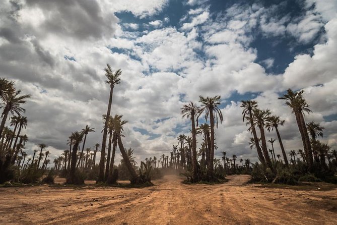 2h Hours Quad Ride in Palmeraie Marrakech - Participant Information
