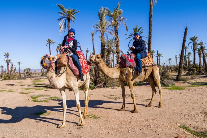 2h of Quad and 30min in Camels in the Desert of the Palmeraie - Meeting Point Location