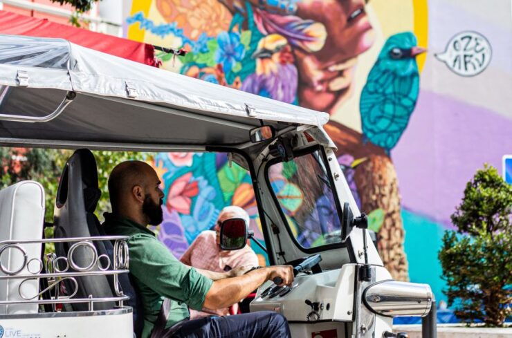 2h Old Lisbon Tuk Tuk Tour - Highlights