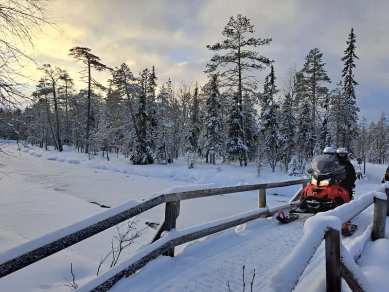 2h private snowmobile experience in Rovaniemi's forest - Exciting Review of the 2-Hour Private Snowmobile Experience in Rovaniemi’s Forest