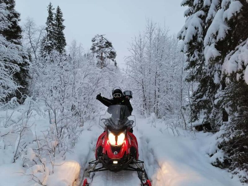 2h private snowmobile experience in Rovaniemi's forest - Good To Know