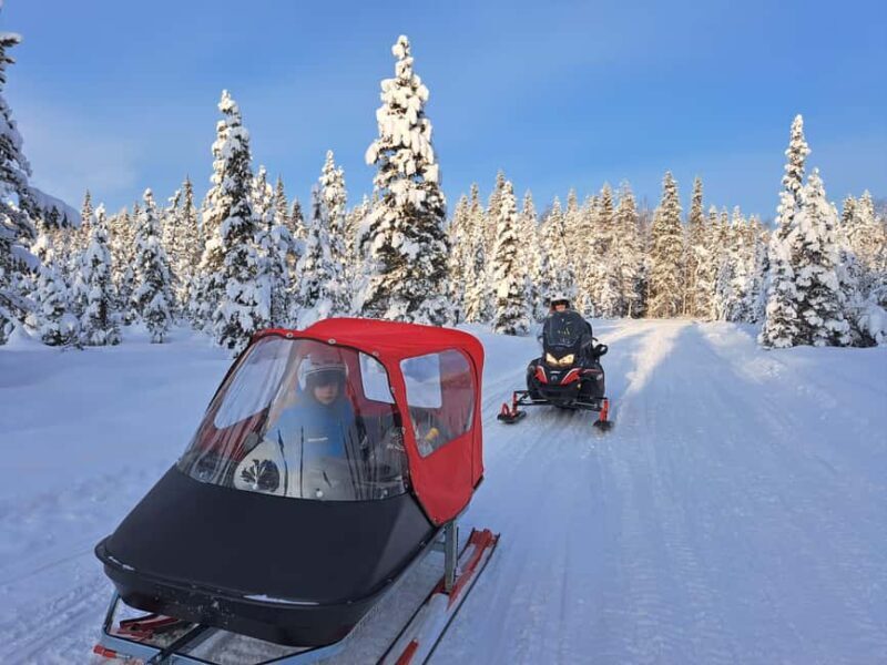 2h private snowmobile experience in Rovaniemi's forest - The Cost and Its Value