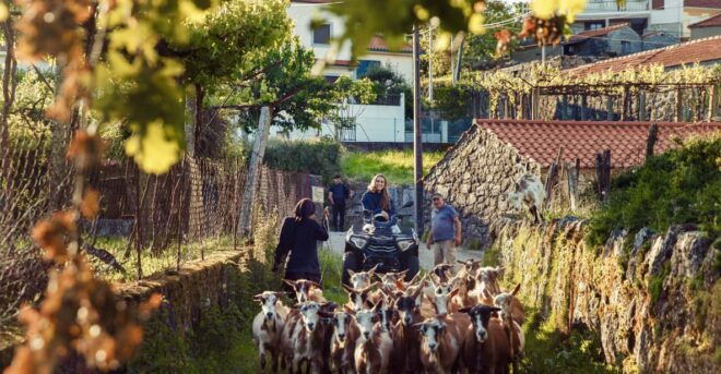 2h Quad Tour • Arcos De Valdevez • Peneda Gerês - Inclusions