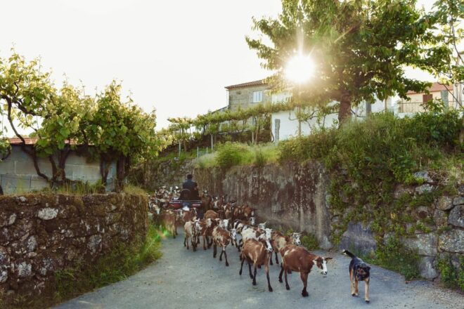 2h Quad Tour • Arcos De Valdevez • Peneda Gerês - Requirements