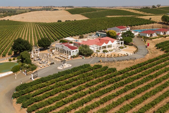 2h Wine Experience, Vineyard Walk, 6 Wines, Charcuterie Board - Meeting and Pickup