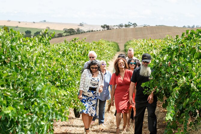 2h Wine Experience, Vineyard Walk, 6 Wines, Charcuterie Board - What to Expect