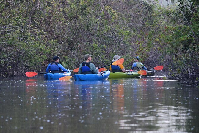 2Hour Everglades Kayak Safari Adventure Through Mangrove Tunnels - Pricing and Reservation Details