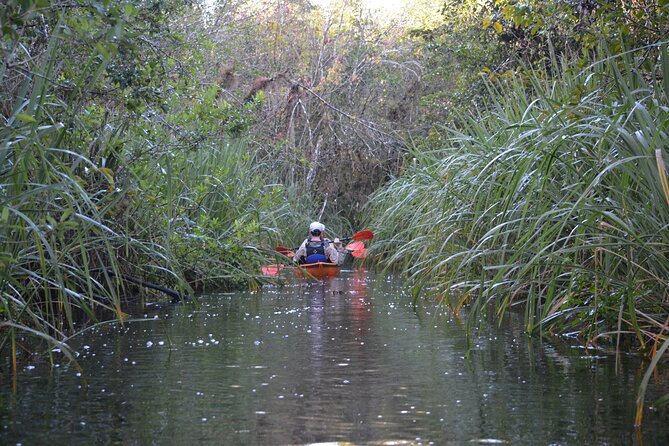 2Hour Everglades Kayak Safari Adventure Through Mangrove Tunnels - Meeting and Pickup Details