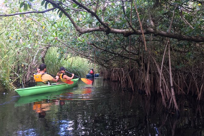 2Hour Everglades Kayak Safari Adventure Through Mangrove Tunnels - Common Questions