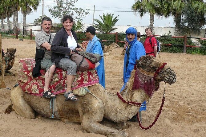 2Hours DE Quad + Comedy EN Tour and Crocoparc Tour - Transportation and Group Details