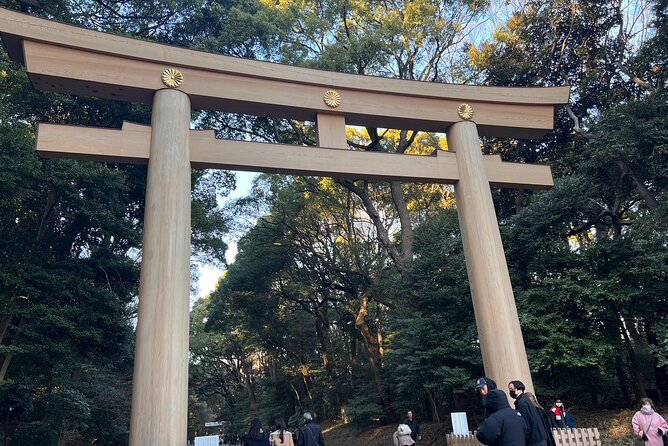 2hours Tour in Meiji Shrine,Red Ink Stamp Experience and Shopping - Additional Costs and Booking Information
