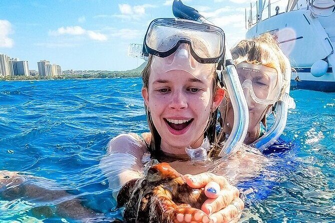2hr Luxury Private Sailing Catamaran for 7-12 People - What to Expect from Your Private Sailing Experience