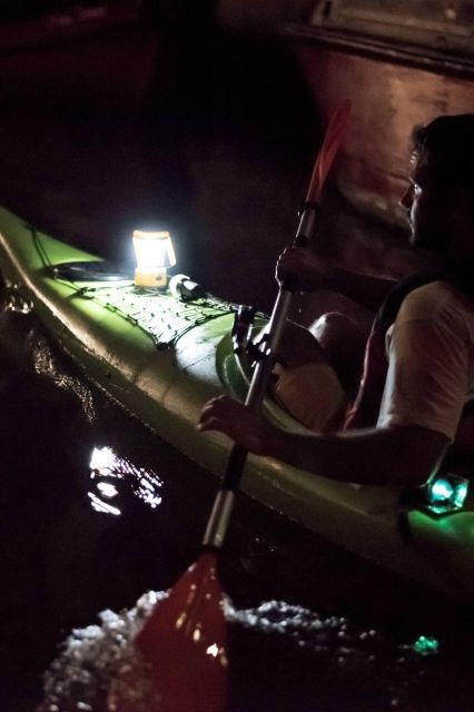2hr Night Kayak Tour in Venice: Premium Tour With Sunset - Good To Know