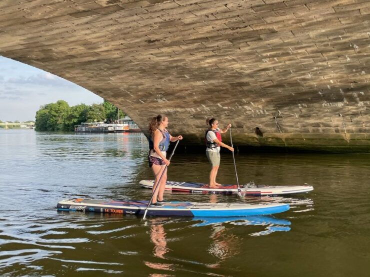 2hr SUP Thames Natural History Tour - Experience and Highlights