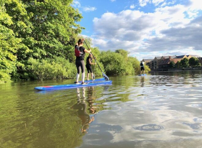 2hr SUP Thames Natural History Tour - Highly Qualified Instructors and Nature Connection