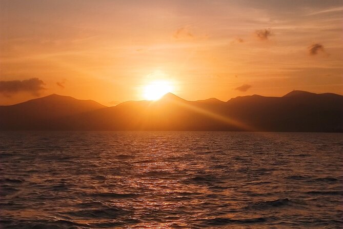 2hrs Dolphins Sunset Sailing Cruise With Drink - Trip Details and Overview