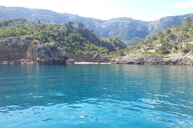 2hrs Snorkeling Experience in Sa Foradada - Snorkeling Equipment Provided