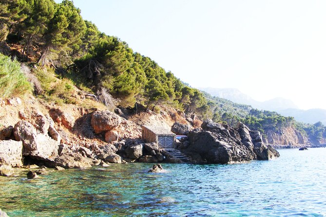 2hrs Snorkeling Experience in Sa Foradada - Stunning Underwater Marine Life