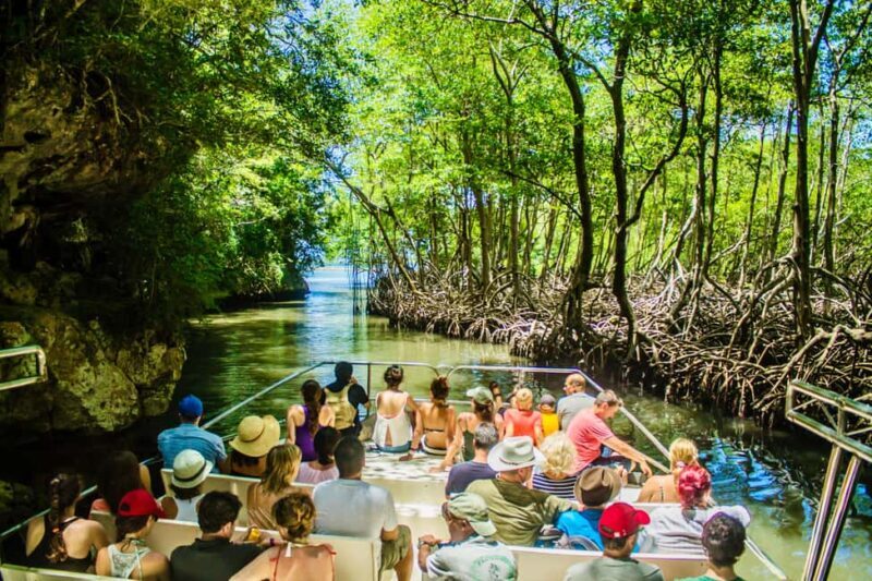 2in1: Los Haitises National Park + Yanigua Waterfall-SPA - An In-Depth Look at the Tour Experience