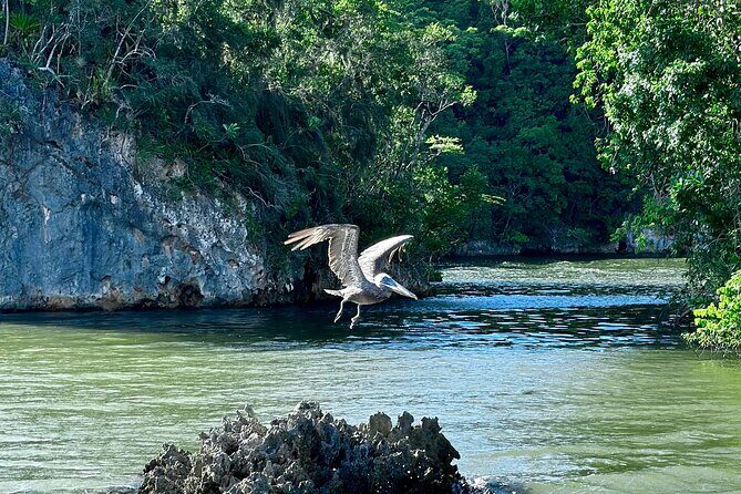 2in1: Los Haitises National Park + Yanigua Waterfall-SPA - FAQ: Common Questions About the Tour