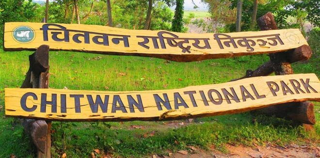 2N & 3D Chitwan Jungle Safari Package (All Inclusive) - Included Services