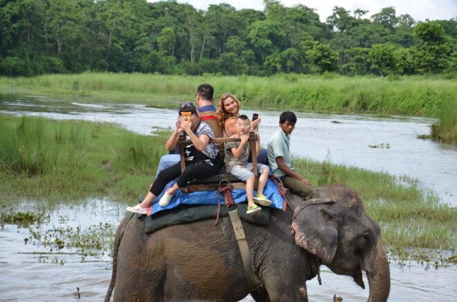 2N & 3D Chitwan Jungle Safari Package (All Inclusive) - Questions You May Have