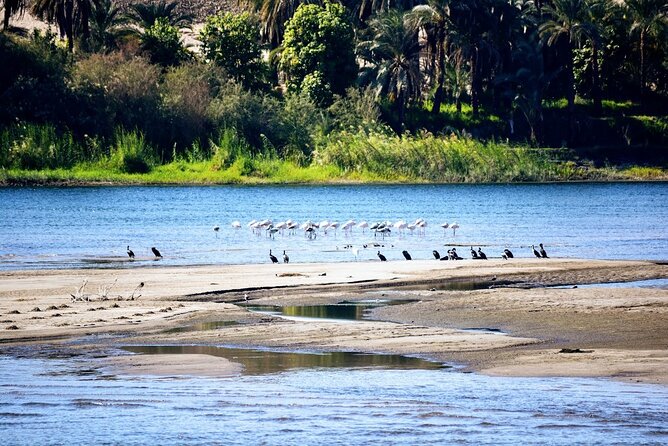 2nights Cruise Aswan to Luxor Tours&Balloon by Flight From Cairo - Booking Confirmation