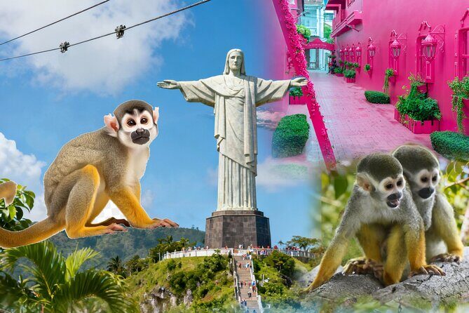 2x1: City Tour & Monkey Encounter tour combo Puerto plata - Good To Know
