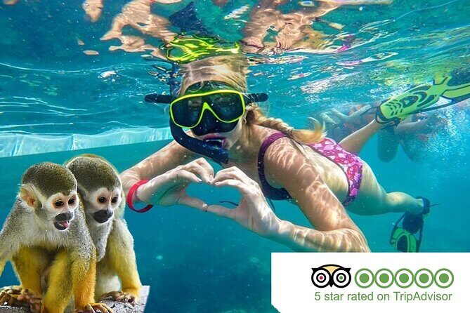 2X1: Snorkeling Tour tour plus MonkeyLand Puerto Plata - Introduction