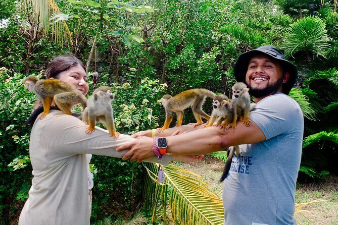 2X1: Snorkeling Tour tour plus MonkeyLand Puerto Plata - Why This Tour Offers Great Value