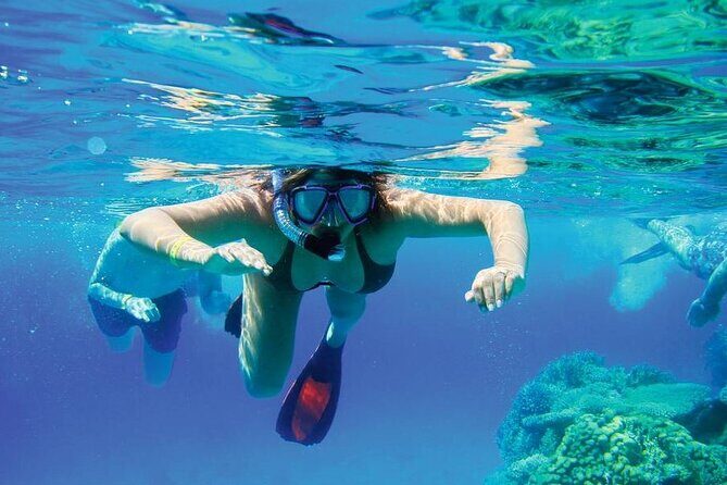 2X1: Snorkeling Tour tour plus MonkeyLand Puerto Plata - FAQ