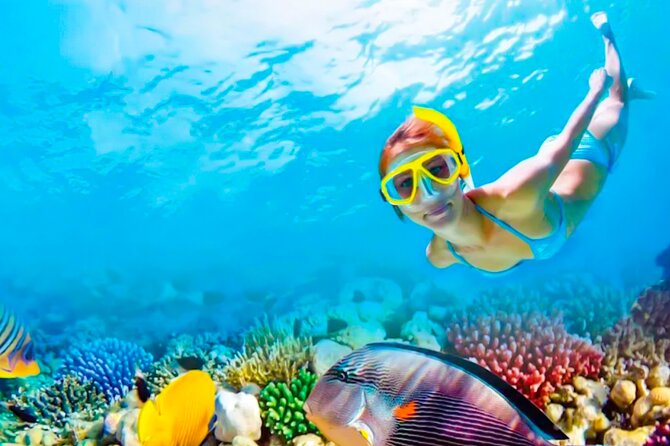 2x1 Tour: Isla Contoy, Isla Mujeres, Open Bar, Lunch and Transfers - Inclusions