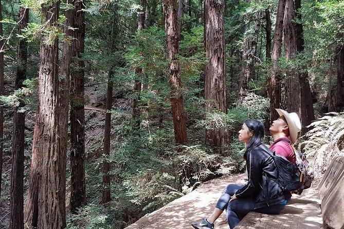 3-1 Muir Woods Visit With Sausalito & Half Day Wine Country (All Fees Included) - Traveler Reviews and Feedback