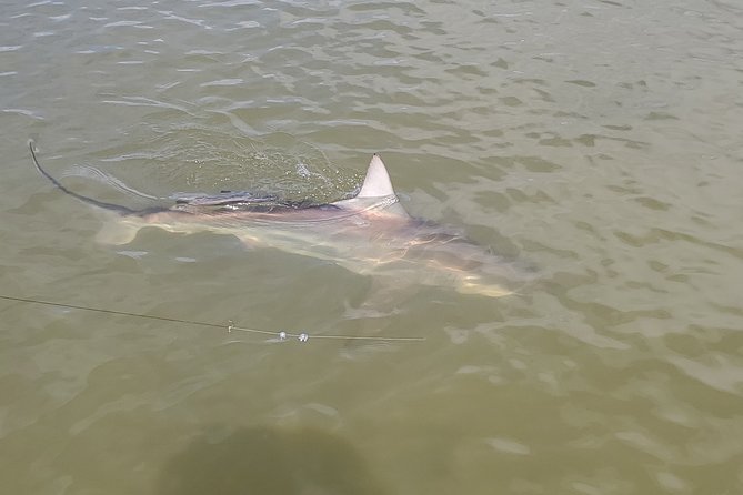 3/4 Day Fishing Charter Naples-Marco-Island-10,000-Islands-Everglades-Sanibel - Reviews and Questions