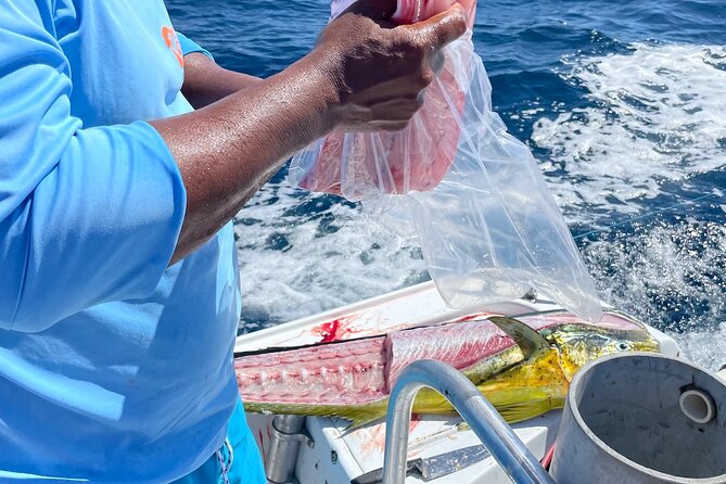 3/4 Day Guided Sport Fishing Private Tour Flamingo Costa Rica - The Sum Up