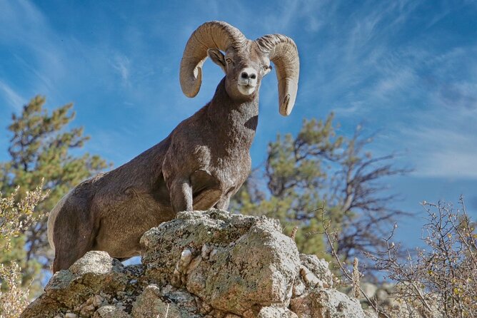 3/4 Day Rocky Mountain NP "Mountain to SkyBear Lake Rd" Tour - RMNPhotographer - Cancellation Policy