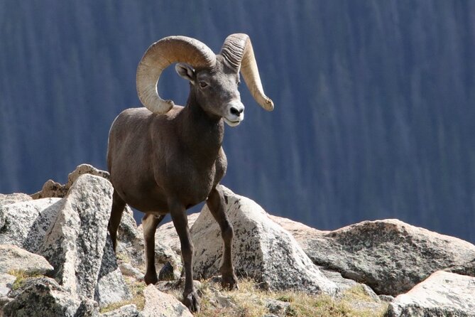 3/4 Day Rocky Mountain NP "Mountain to SkyBear Lake Rd" Tour - RMNPhotographer - Direction and Route