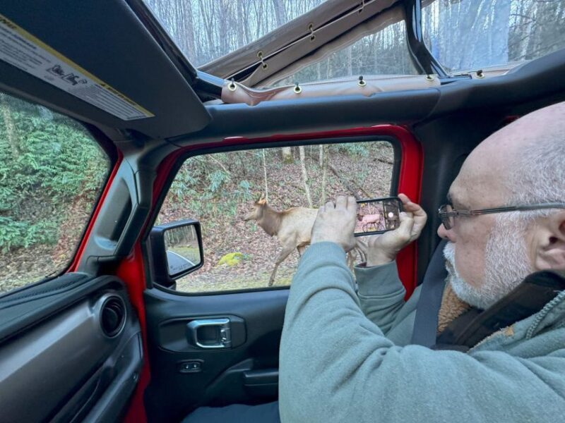 3.5-4 HR. Guided Safari Jeep Eco Waterfall Adventure - Additional Tips for Travelers