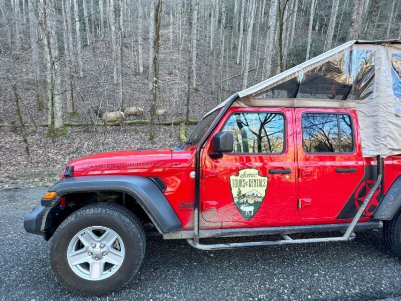 3.5-4 HR. Guided Safari Jeep Eco Waterfall Adventure - Final Thoughts